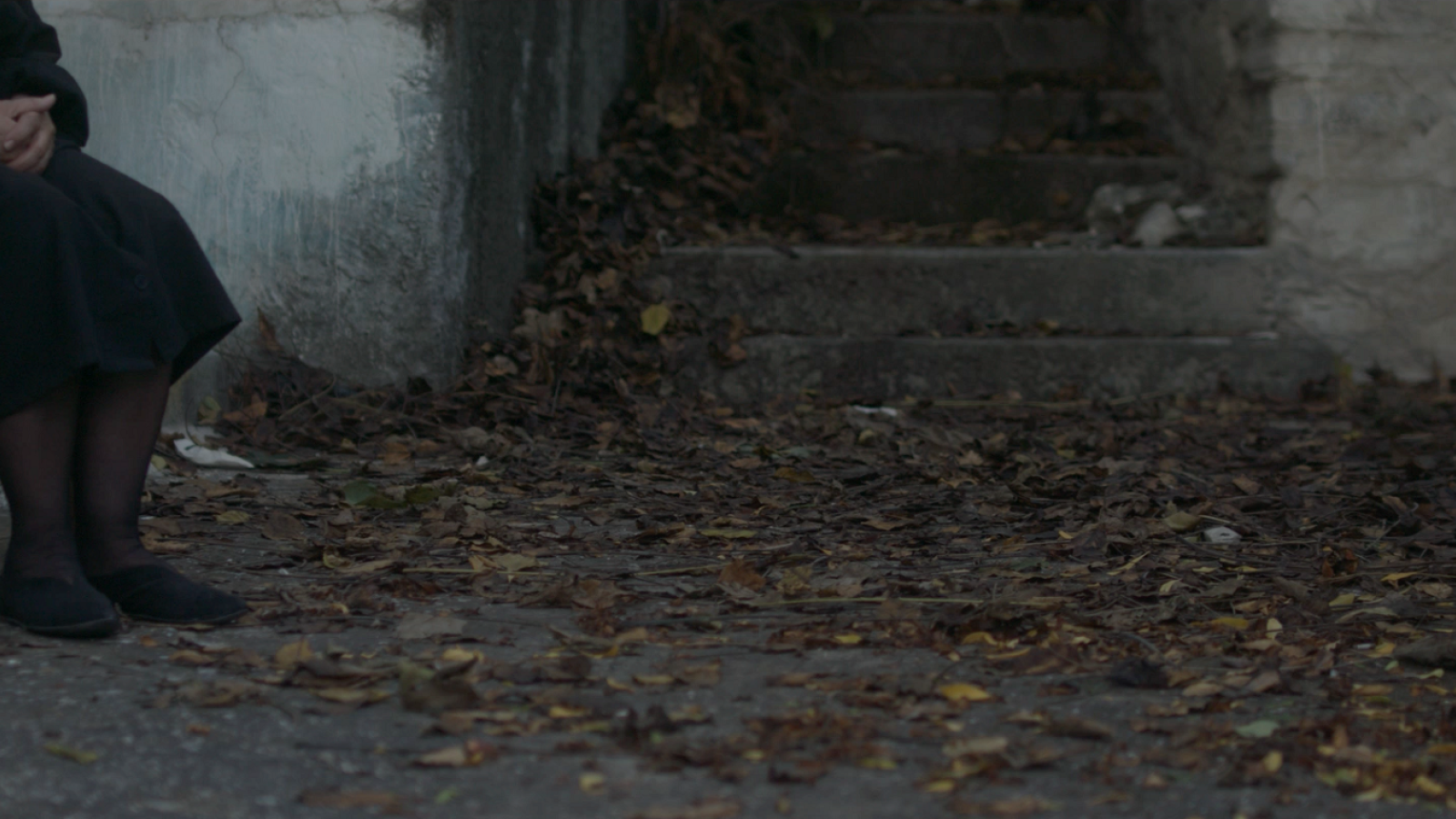 THE BULLET WITHIN